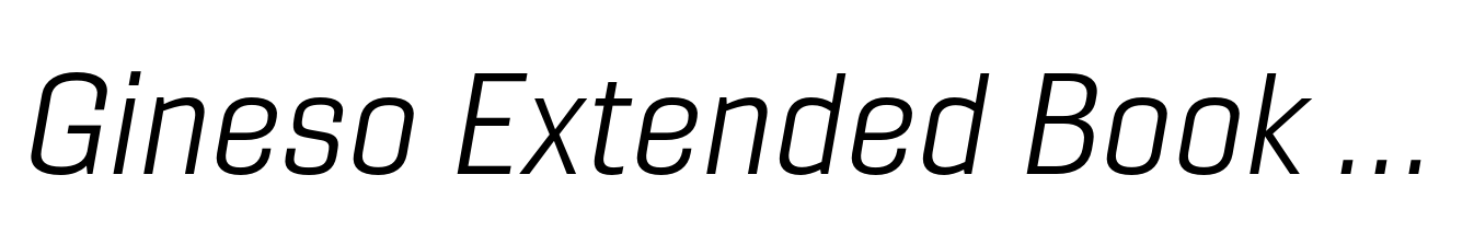 Gineso Extended Book Italic
